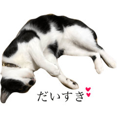 [LINEスタンプ] むげん
