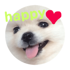 [LINEスタンプ] いろはとおともだち
