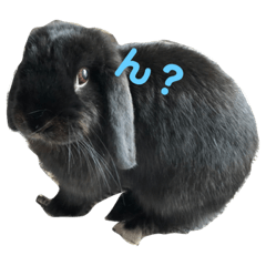 [LINEスタンプ] ロップ小町の毎日