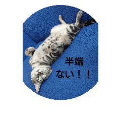 [LINEスタンプ] 半端ない！！