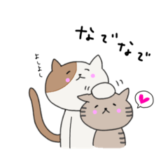 [LINEスタンプ] にゃん太の毎日スタンプ