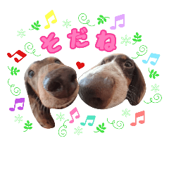 [LINEスタンプ] 仲良しダックス ムー＆ニー❤️②