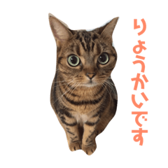 [LINEスタンプ] みたろーまん2
