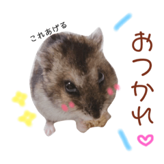 [LINEスタンプ] 我が家ののハムカツ子