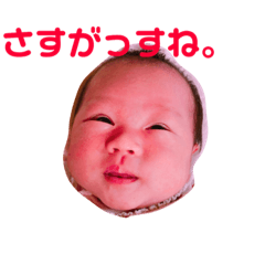 [LINEスタンプ] 我らの癒しかのみスタンプ
