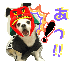 [LINEスタンプ] コンタさんの日常02