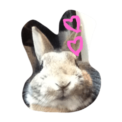 [LINEスタンプ] りーりりスタンプ♡