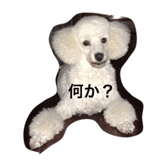 [LINEスタンプ] ベリーのスタンプ