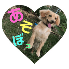 [LINEスタンプ] 愛犬ラルフ
