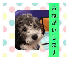 [LINEスタンプ] モネ＆シャンシャン2