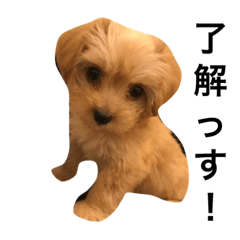 [LINEスタンプ] 吉田りたくん