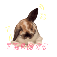 [LINEスタンプ] 我が家のウサ・チラ・ハムちゃんず