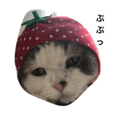 [LINEスタンプ] よしこ〜仮装編
