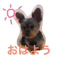 [LINEスタンプ] テツトのスタンプ
