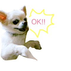 [LINEスタンプ] ポッキーくん。