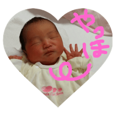 [LINEスタンプ] すずれんスタンプ