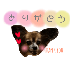 [LINEスタンプ] 犬のルイちゃん