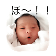 [LINEスタンプ] リオのカーニバル