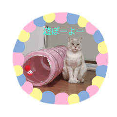 [LINEスタンプ] くぅたろー