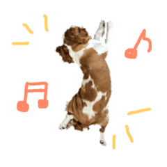 [LINEスタンプ] キャバリア〜キャンディ2〜