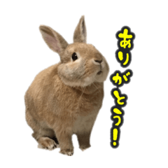 [LINEスタンプ] 佐藤家のうーちゃん