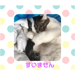 [LINEスタンプ] 我が家の愉快なテン＆Q 2