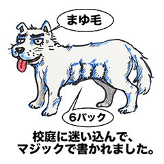 [LINEスタンプ] はちこー犬の画像（メイン）