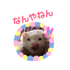 [LINEスタンプ] フェレットのウル