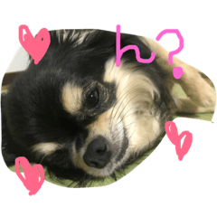 [LINEスタンプ] 俺たちのまいにち。