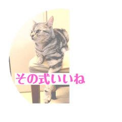 [LINEスタンプ] 良い考えした！