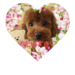 [LINEスタンプ] らんスタンプ1