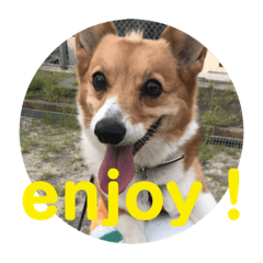 [LINEスタンプ] わが家のワンファミ