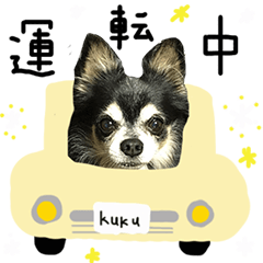 [LINEスタンプ] チワワのククの日常