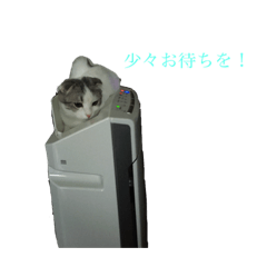 [LINEスタンプ] 鈴木家の鈴太郎1