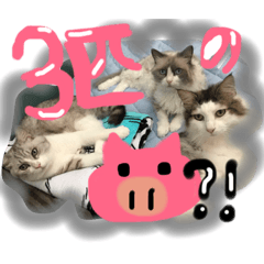 [LINEスタンプ] るなりりれおん