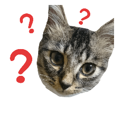 [LINEスタンプ] 我が家のにゃんこ軍団