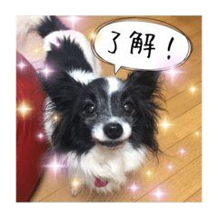 [LINEスタンプ] とわちゃん