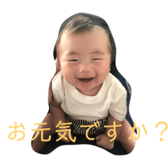 [LINEスタンプ] だんちゃんスタンプ第二弾