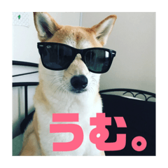 [LINEスタンプ] ゴン太さんとくう太さん