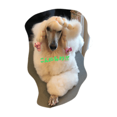 [LINEスタンプ] アンジーリリエン