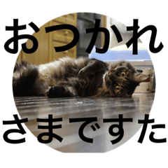 [LINEスタンプ] ベルちゃんとポンちゃんのスタンプその2。