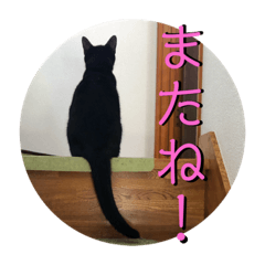 [LINEスタンプ] 黒猫ジジのスタンプ2