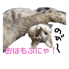 [LINEスタンプ] さくら三昧・基本編