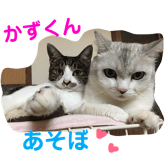 [LINEスタンプ] かずくんのスタンプ。
