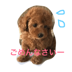 [LINEスタンプ] 愛犬トトちゃん