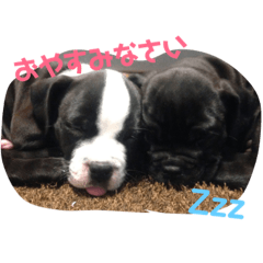 [LINEスタンプ] 愉快な仲間たち my friendsの画像（メイン）