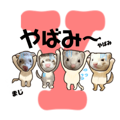 [LINEスタンプ] イタチのやばみ〜！スタンプ