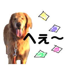 [LINEスタンプ] ゴールデンレトリバーのれおんです2