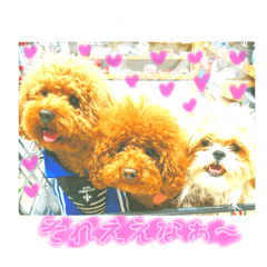 [LINEスタンプ] ワンコ三兄弟
