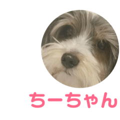 [LINEスタンプ] ちーちゃん＆うーちゃん